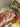 670dca8034be6e479edf2839_img-6884_1775869254602.jpeg
