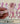 670dca8034be6e479edf2839_img-6930_1780437278016.jpeg