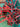670dca8034be6e479edf2839_img-6944_1783443375319.jpeg