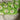670dca8034be6e479edf2839_img-7193_1787786412859.jpeg