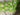 670dca8034be6e479edf2839_img-7193_1787786412859.jpeg