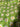 670dca8034be6e479edf2839_img-7194_1787786412860.jpeg