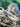 670dca8034be6e479edf2839_img-7308_1783810956636.jpeg