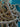 670dca8034be6e479edf2839_img-7311_1783811065127.jpeg