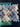 670dca8034be6e479edf2839_img-7355_1783812839549.jpeg