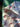 670dca8034be6e479edf2839_img-7363_1783812973243.jpeg