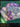 670dca8034be6e479edf2839_img-7372_1783813346265.jpeg