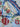 670dca8034be6e479edf2839_img-7594_1783894449090.jpeg