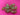 670dca8034be6e479edf2839_img-7783_1780083750597.jpeg