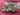 670dca8034be6e479edf2839_img-7803_1780086802807.jpeg