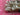 670dca8034be6e479edf2839_img-7804_1780086802805.jpeg