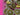 670dca8034be6e479edf2839_img-7807_1780087131126.jpeg