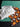 670dca8034be6e479edf2839_img-7810_1785077974943.jpeg