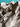 670dca8034be6e479edf2839_img-7820_1785078372025.jpeg