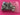 670dca8034be6e479edf2839_img-7838_1780193932888.jpeg