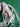 670dca8034be6e479edf2839_img-7838_1785079243791.jpeg