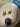 670dca8034be6e479edf2839_img-7846_1791498659572.jpeg