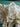 670dca8034be6e479edf2839_img-7867_1785080329825.jpeg