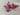 670dca8034be6e479edf2839_img-7904_1780262165819.jpeg