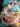 670dca8034be6e479edf2839_img-7917_1785082588182.jpeg