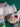 670dca8034be6e479edf2839_img-7938_1785083355623.jpeg