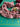 670dca8034be6e479edf2839_img-7941_1785083453718.jpeg