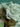 670dca8034be6e479edf2839_img-7957_1785083871043.jpeg