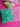 670dca8034be6e479edf2839_img-7978_1780531739856.jpeg