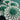 670dca8034be6e479edf2839_img-8035_1785087029044.jpeg