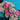 670dca8034be6e479edf2839_img-8040_1785087134285.jpeg