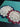 670dca8034be6e479edf2839_img-8049_1785087335587.jpeg