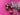 670dca8034be6e479edf2839_img-8052_1780855559031.jpeg