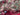 670dca8034be6e479edf2839_img-8056_1780855681577.jpeg