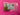 670dca8034be6e479edf2839_img-8120_1781113039113.jpeg