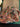 670dca8034be6e479edf2839_img-8124_1785284945235.jpeg
