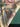 670dca8034be6e479edf2839_img-8128_1785285184770.jpeg