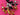 670dca8034be6e479edf2839_img-8195_1781474941437.jpeg