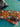 670dca8034be6e479edf2839_img-8211_1785450829676.jpeg