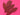 670dca8034be6e479edf2839_img-8271_1781715997010.jpeg