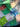 670dca8034be6e479edf2839_img-8348_1786055653834.jpeg