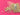 670dca8034be6e479edf2839_img-8554_1783115140688.jpeg