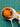 670dca8034be6e479edf2839_img-8591_1786573513919.jpeg