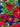 670dca8034be6e479edf2839_img-8665_1786575481720.jpeg