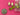 670dca8034be6e479edf2839_img-8791_1784311037485.jpeg