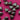 670dca8034be6e479edf2839_img-8852_1784596689383.jpeg