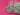 670dca8034be6e479edf2839_img-8907_1785357173331.jpeg