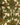 670dca8034be6e479edf2839_img-9407_1760302797879.jpeg