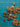 670dca8034be6e479edf2839_img-9430_1788726572137.jpeg