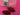 670dca8034be6e479edf2839_img-9433_1786757011939.jpeg