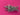 670dca8034be6e479edf2839_img-9476_1786984695044.jpeg